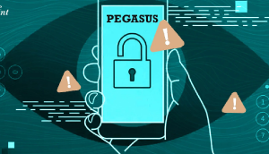 how to secure yourself during pegasus era